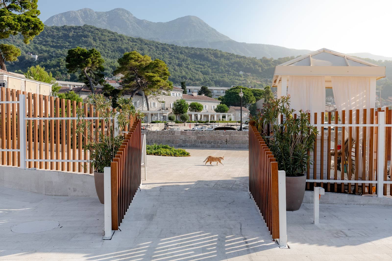 Chic Dining Experiences