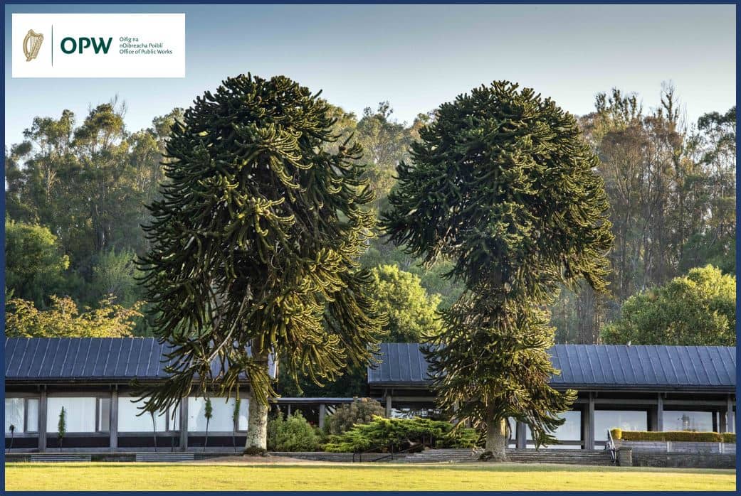 The Remembrance Garden