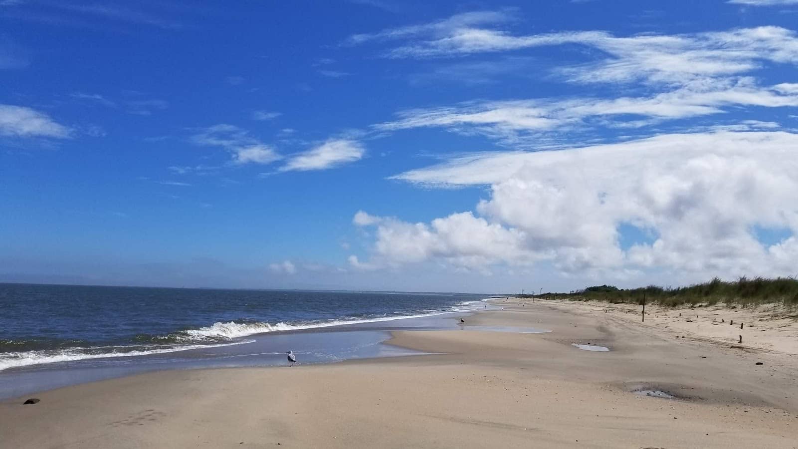 Scenic Coastal Views