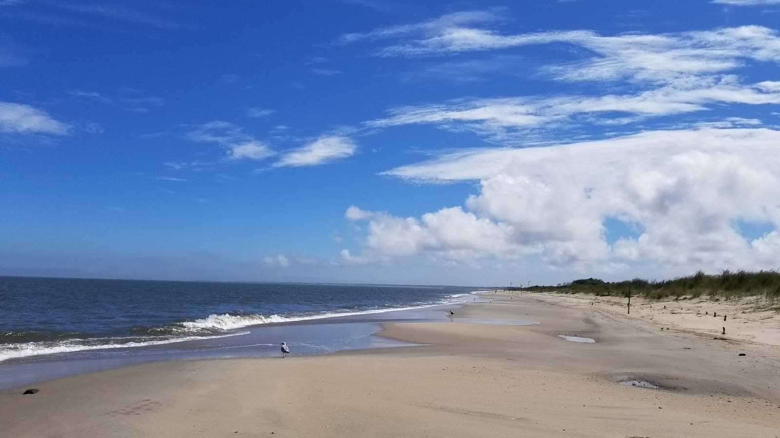 Beach Plum Island Nature Preserve - Image 1