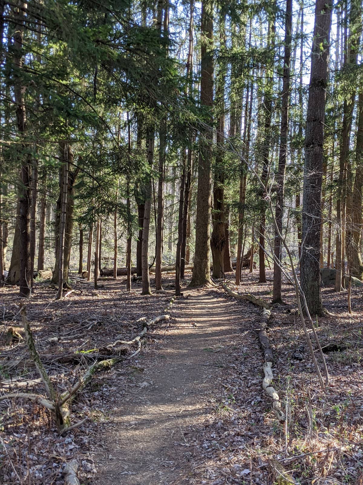 Rocky Red Trail