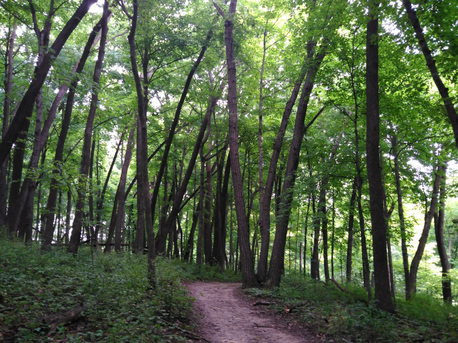 Oxbow Park & Zollman Zoo - Image 1