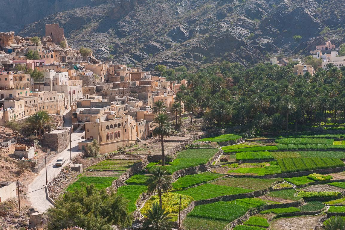 Terraced Farms