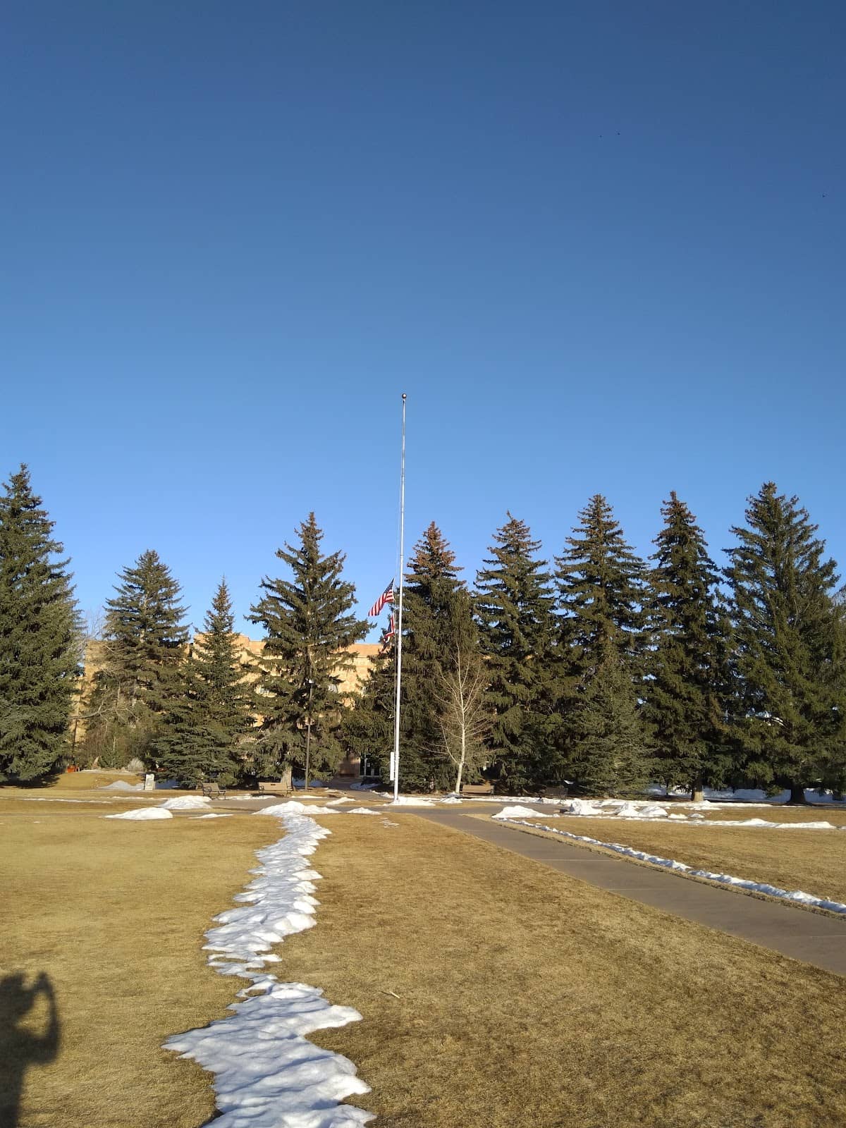 Vertical photo
