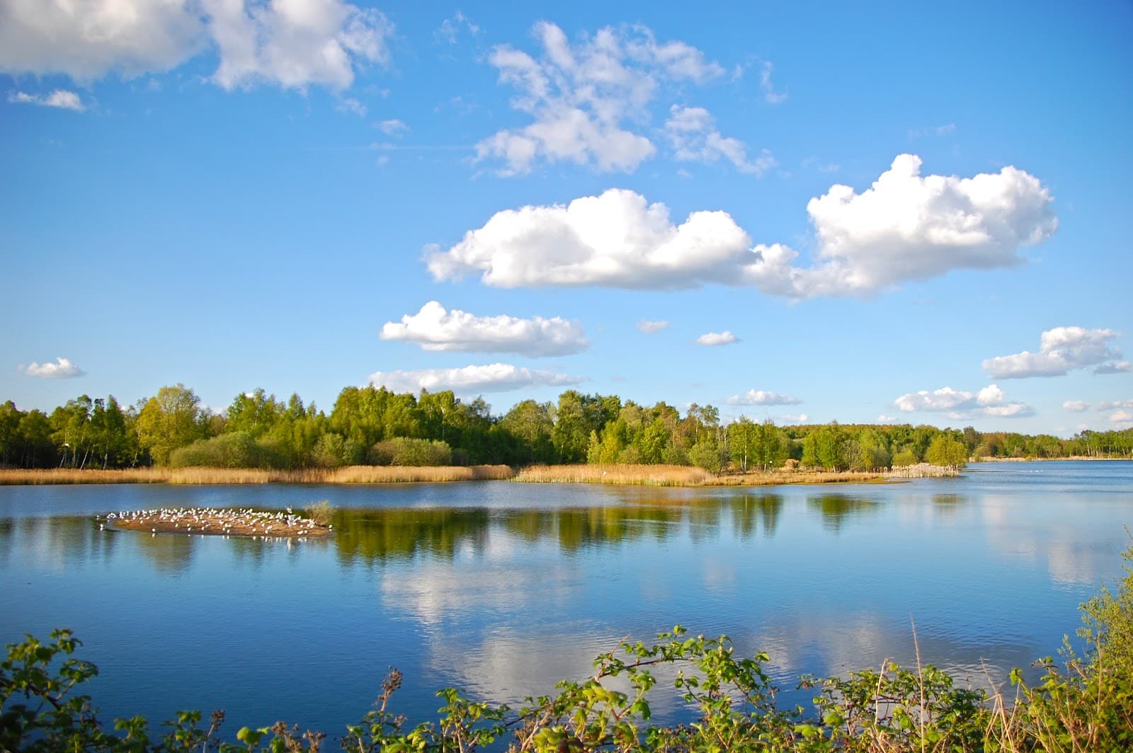 Whisby Nature Park - Image 1