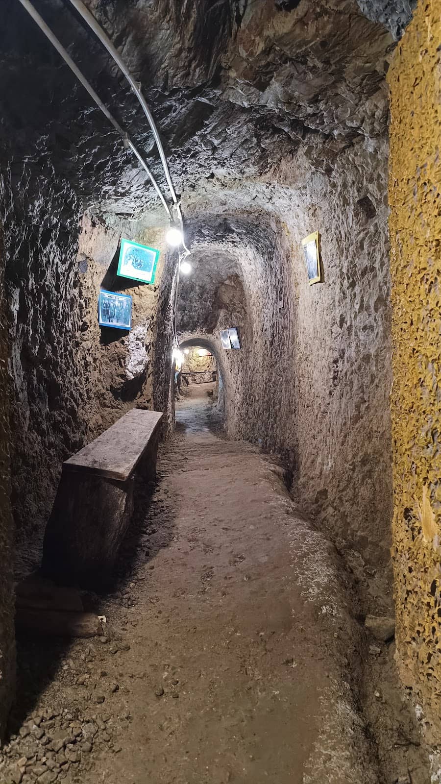 Scenic Jungle Setting