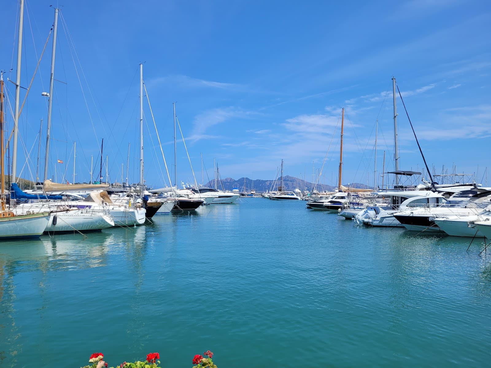 Port de Pollença Marina - Image 1