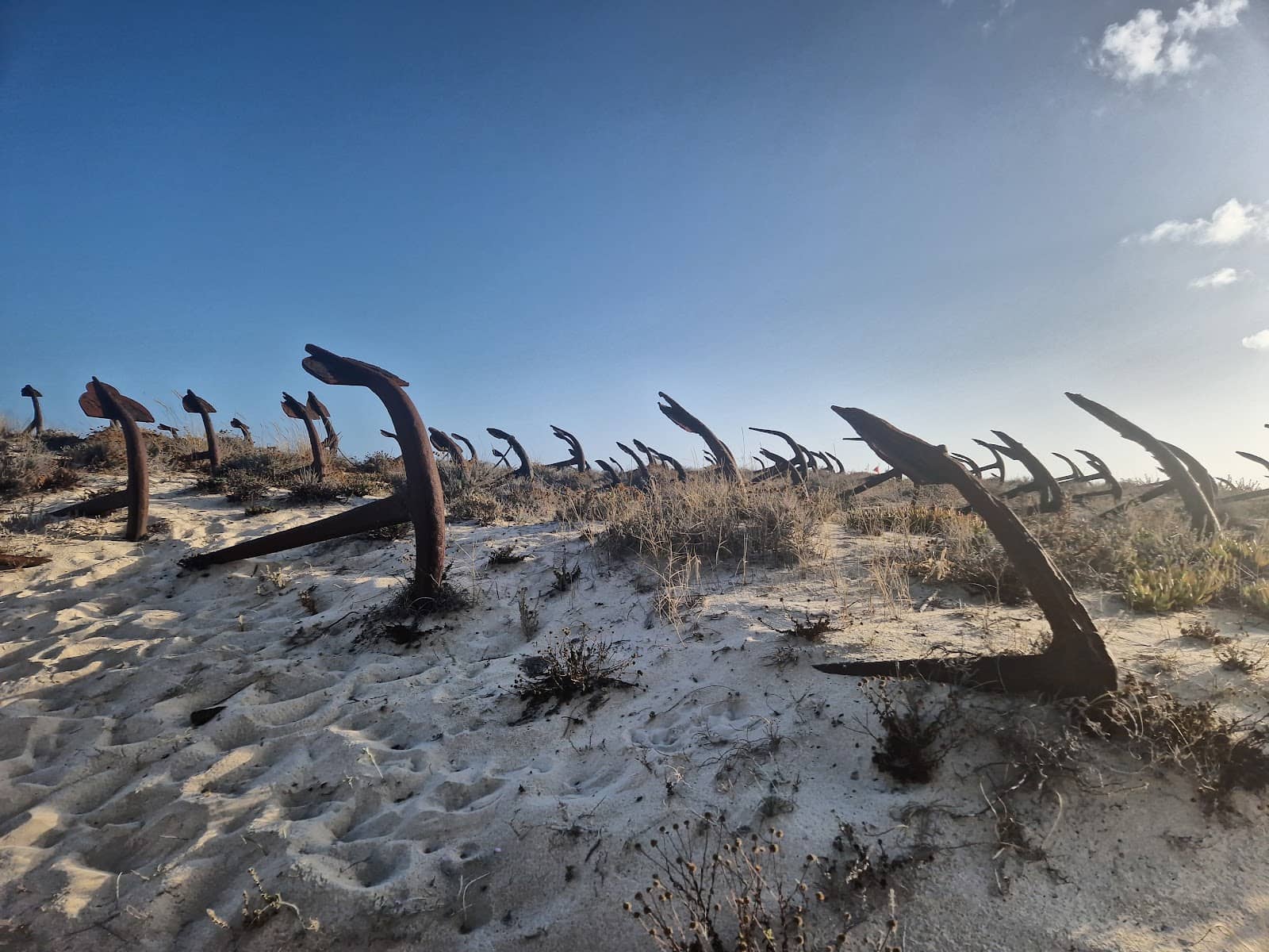 Narrow-Gauge Train Ride