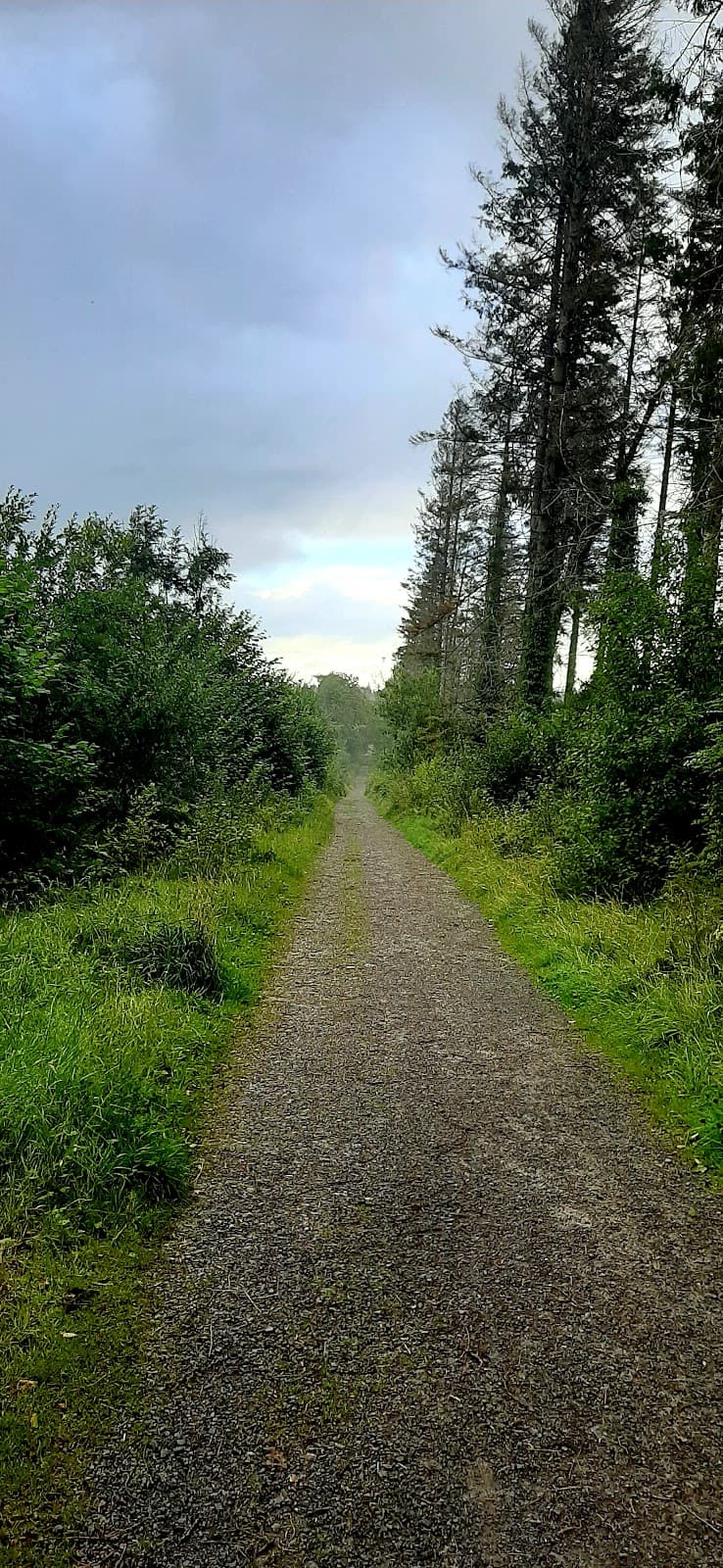 Mote Park, Roscommon - Image 1