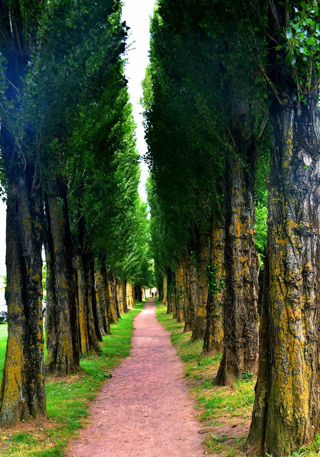 Old Honfleur Lighthouse - Image 1
