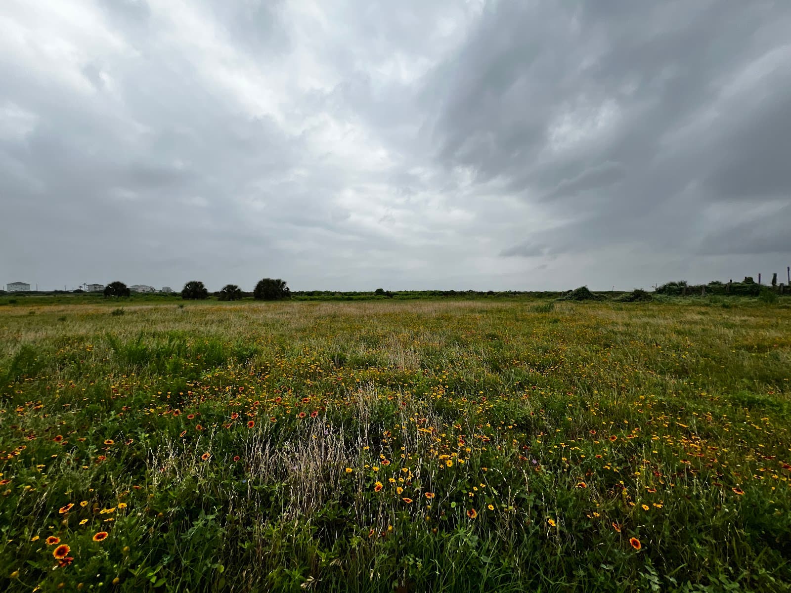 Artist Boat Coastal Heritage Preserve - Image 1