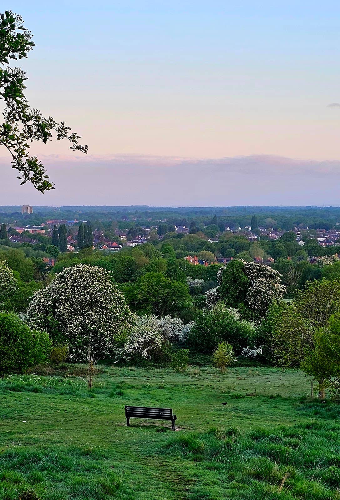 Nature Trails and Ponds