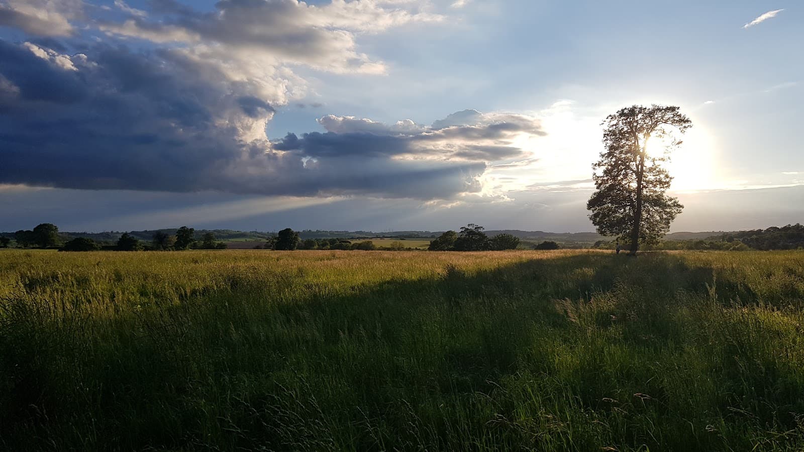 Priory Park, Hitchin - Image 1