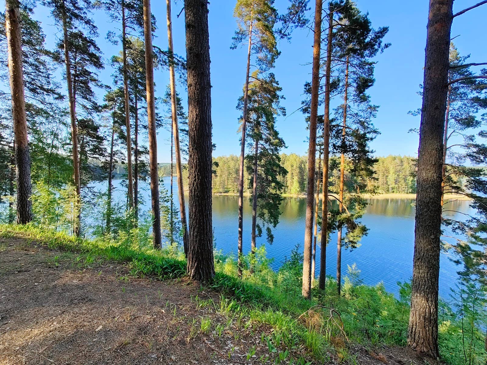 Vertical photo