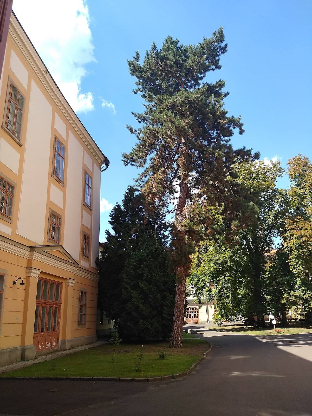 Vertical photo