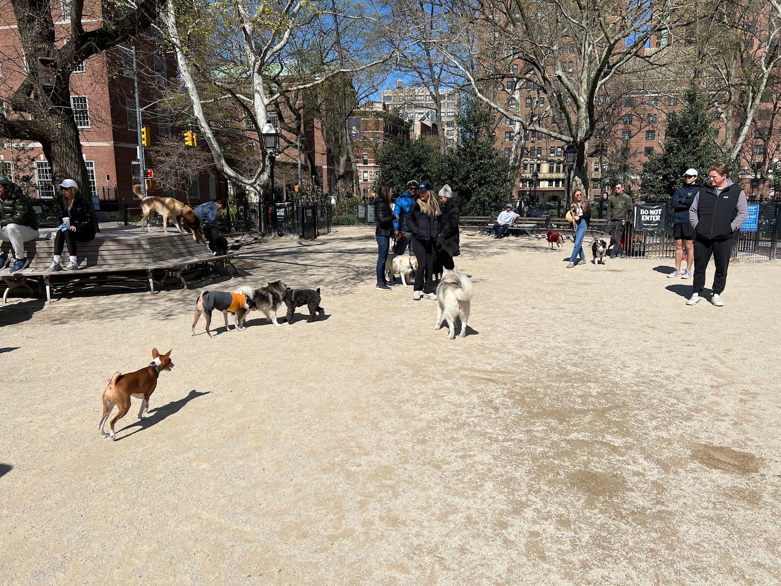 Washington Square Park Dog Run - Image 1