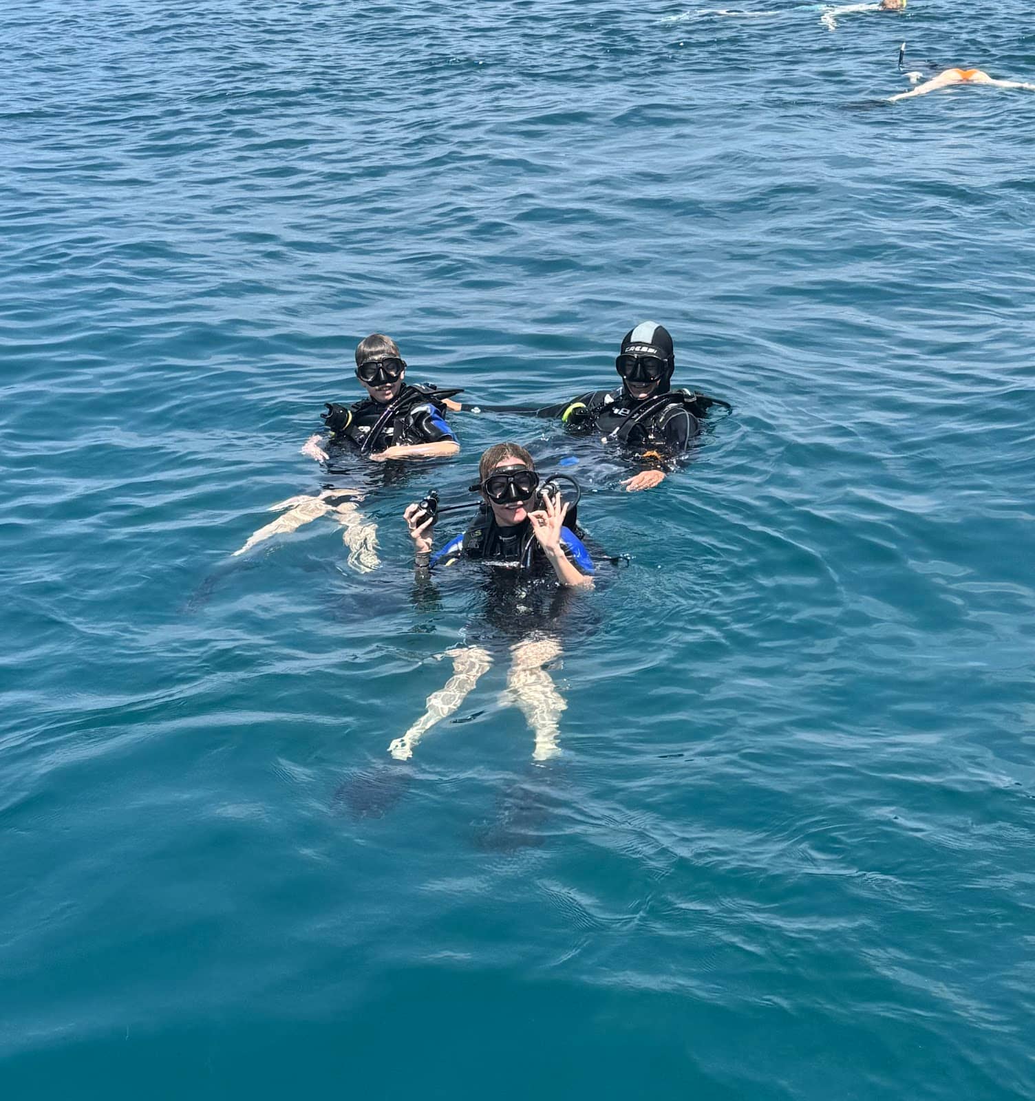 Marine Life Encounters