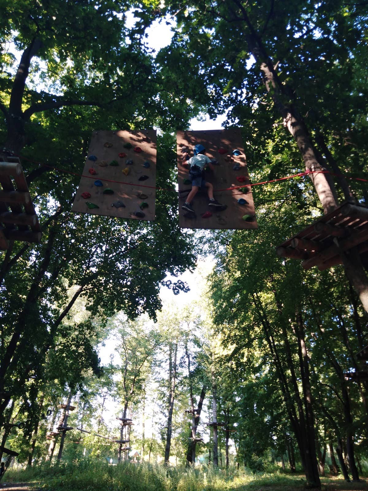 Vertical photo