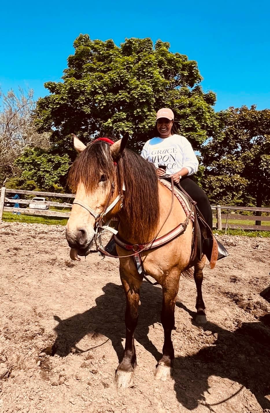Western Riding Lessons