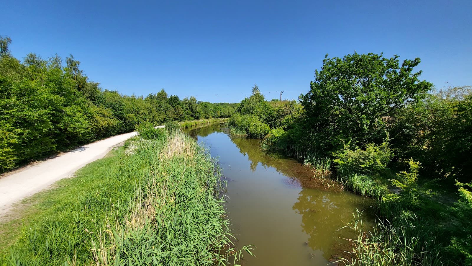 Donisthorpe Woodland Park - Image 1