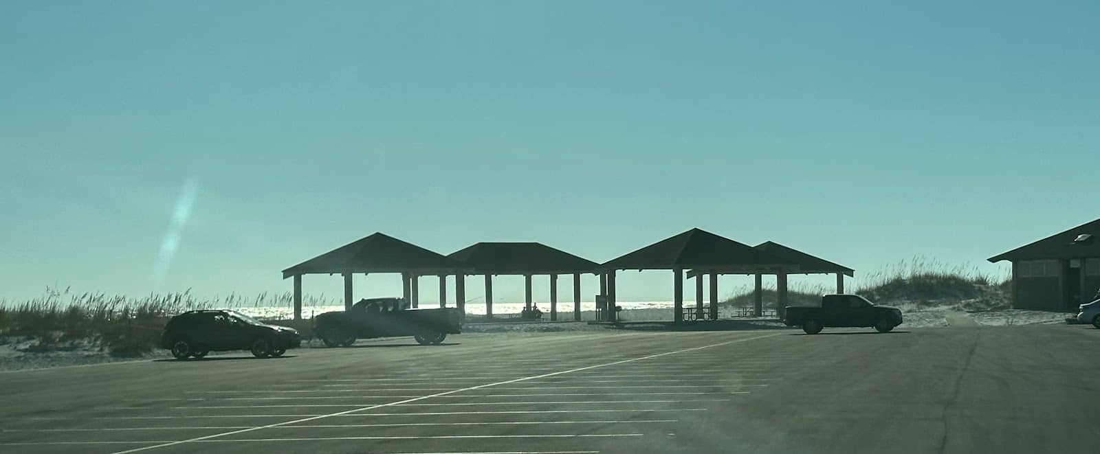 Tide Pool Discoveries