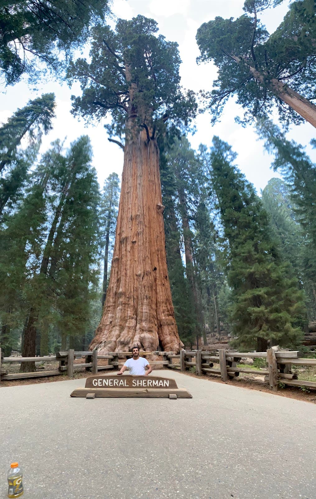Villa Park Orchards Packing House - Image 1