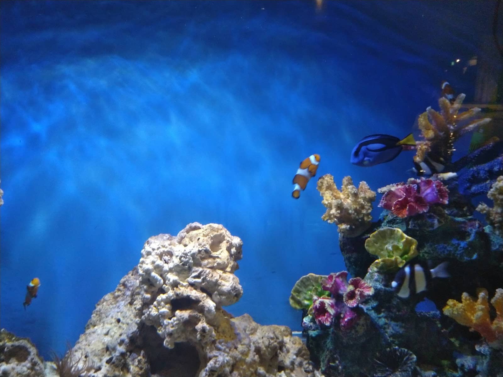 Interactive Learning