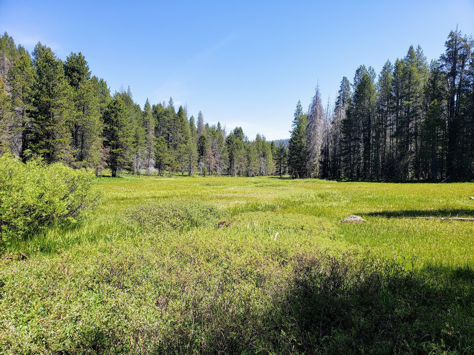 McGurk Meadow - Image 1