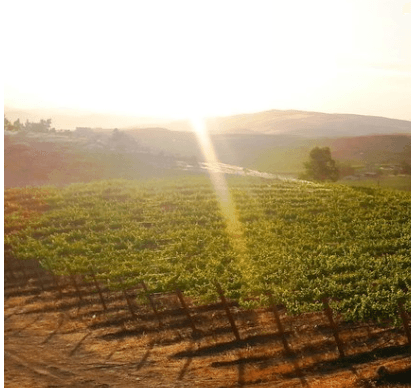 Rattlesnake Hills AVA - Image 1