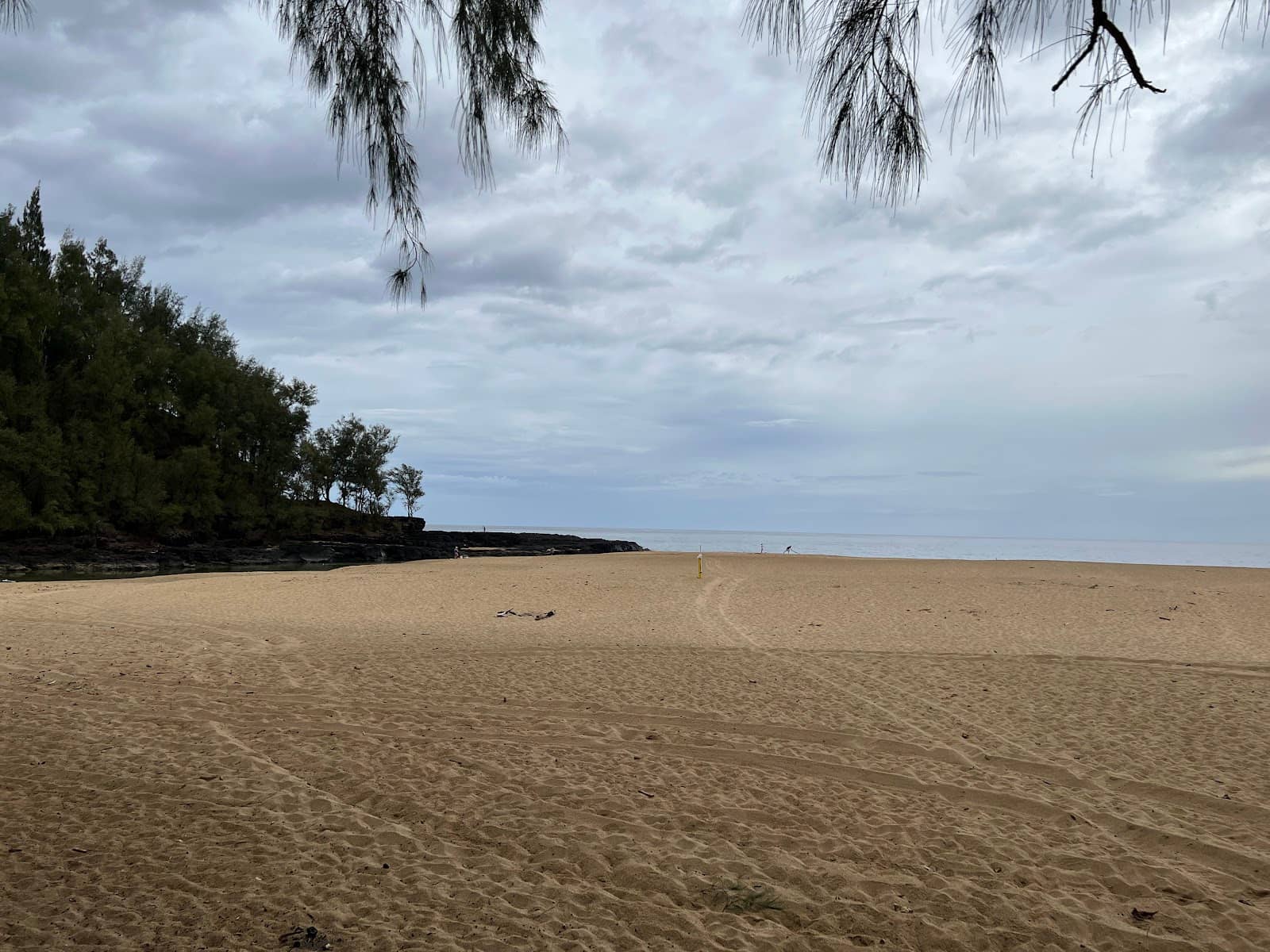 Coastal Drive Scenery