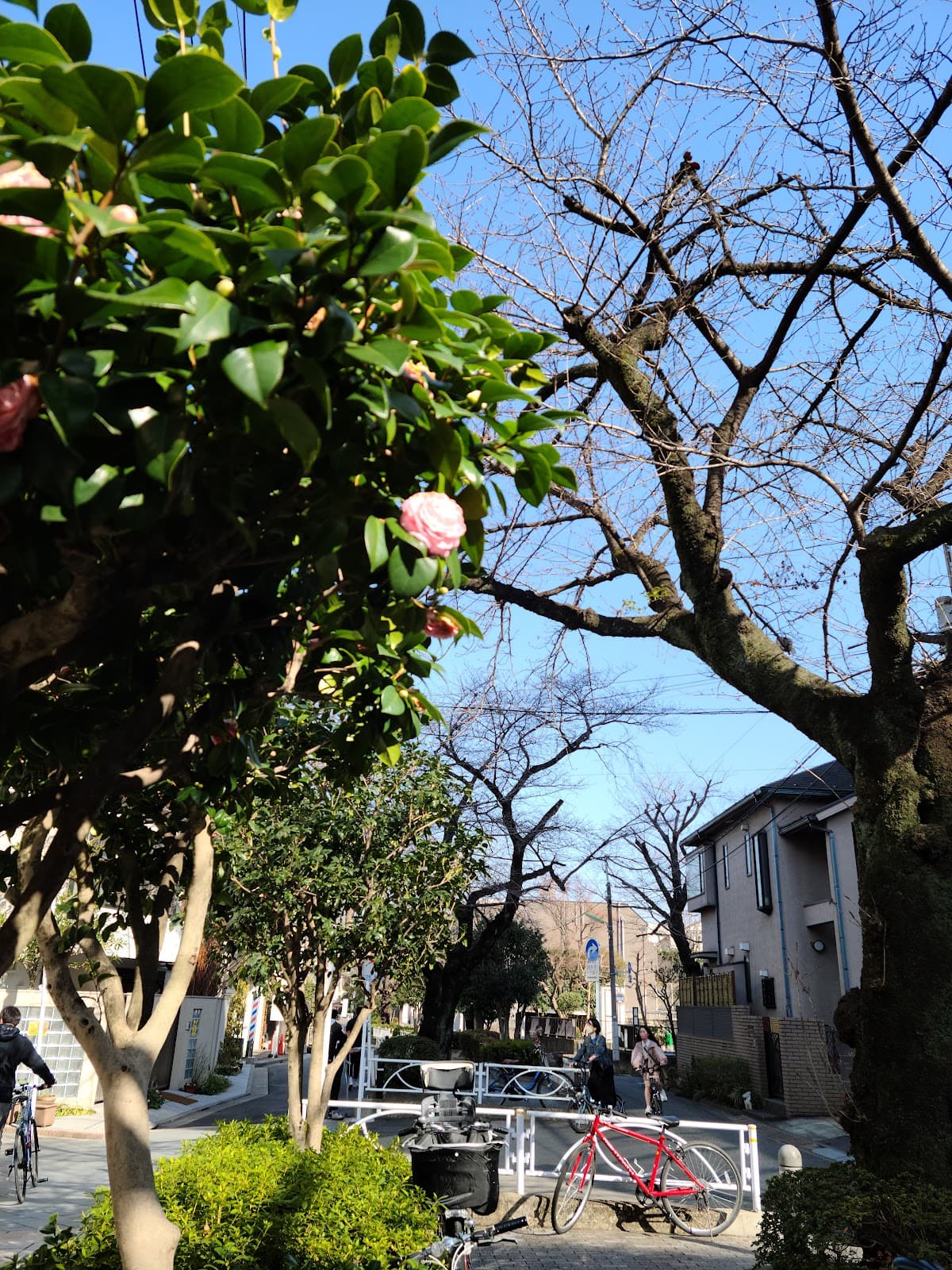 Jiyugaoka Tokyo - Image 1