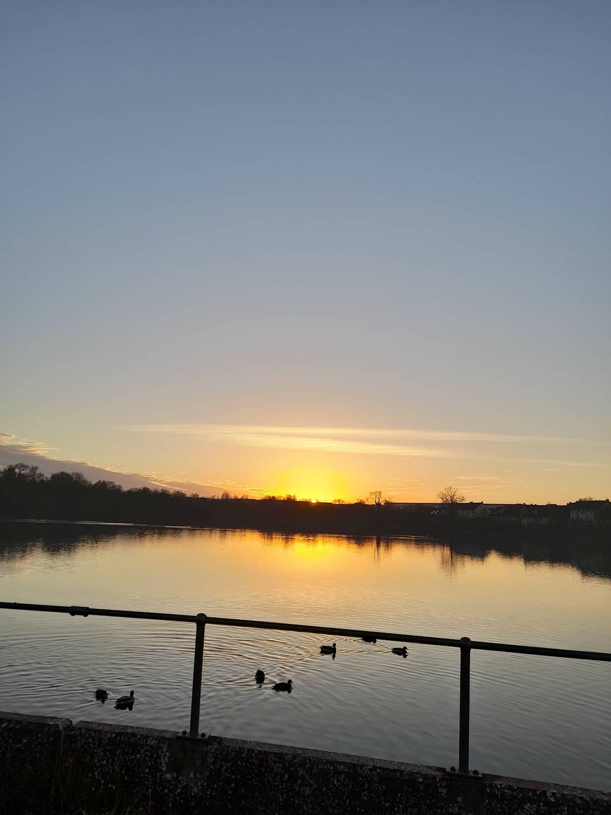 Surface and Zig Fishing