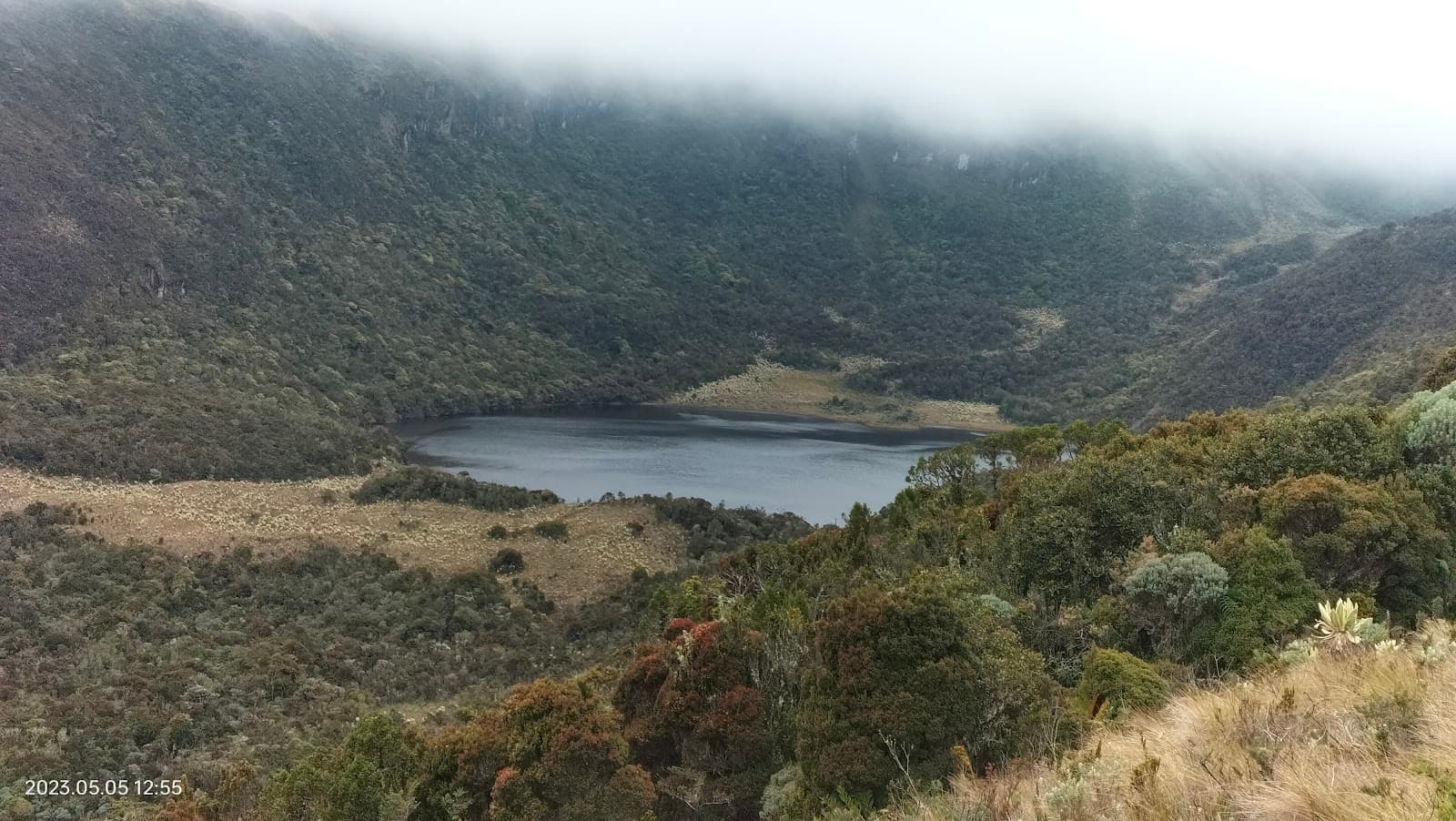 Santuario de Flora y Fauna Galeras Pasto - Image 1