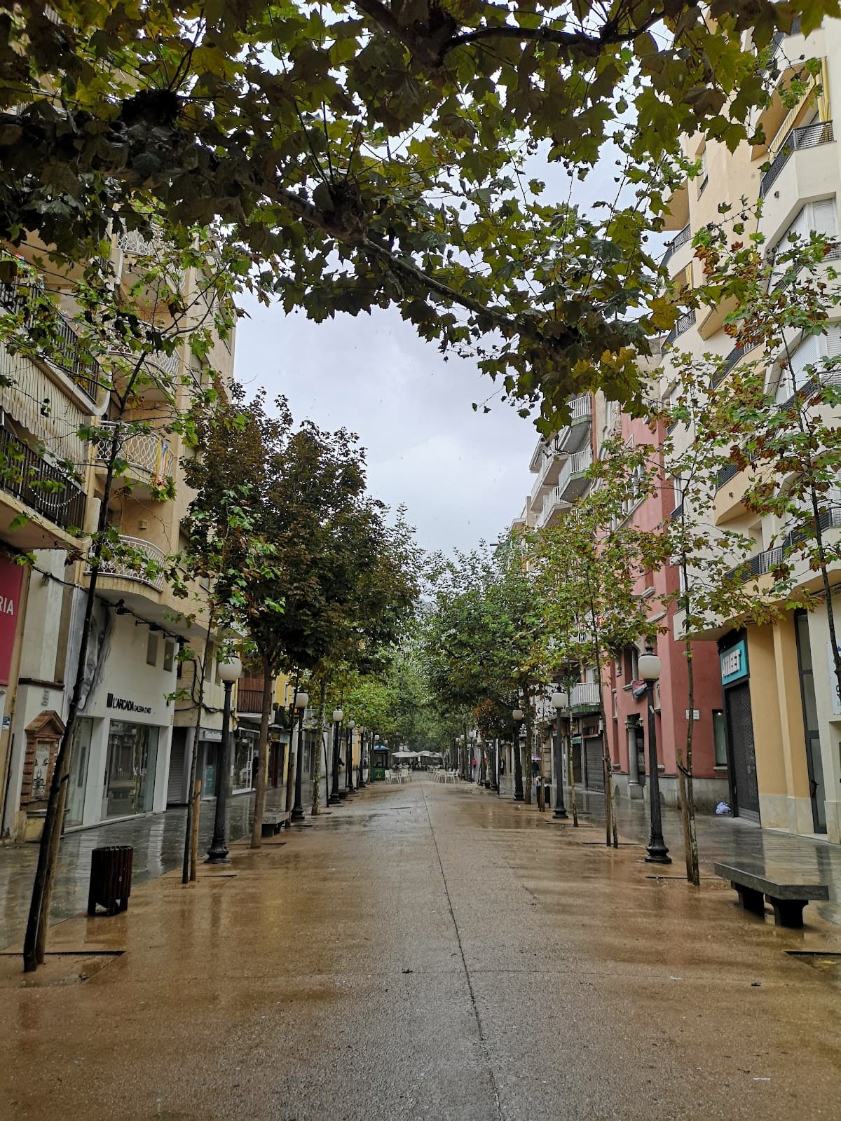 Passeig de Dintre - Image 1