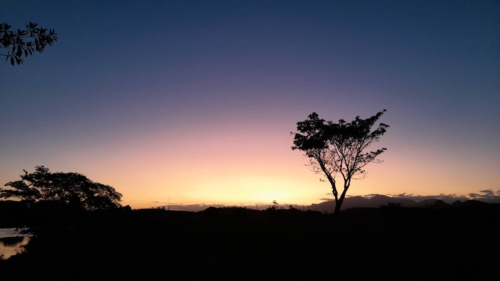 Local Artisan Markets