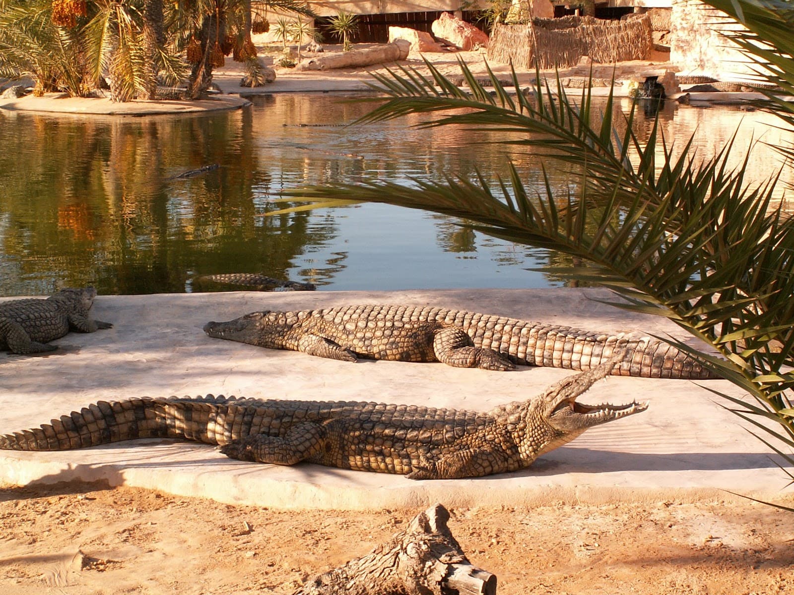 Heritage Village Djerba - Image 1