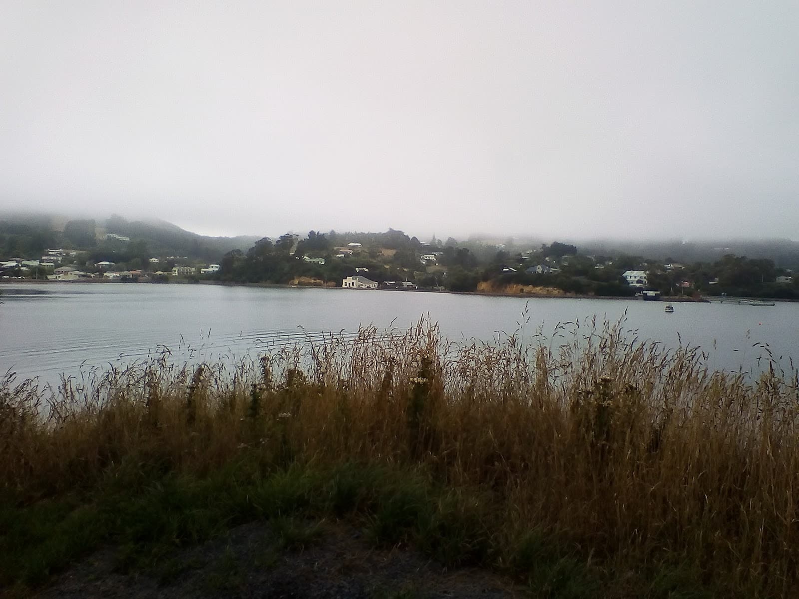 Portobello - Image 1