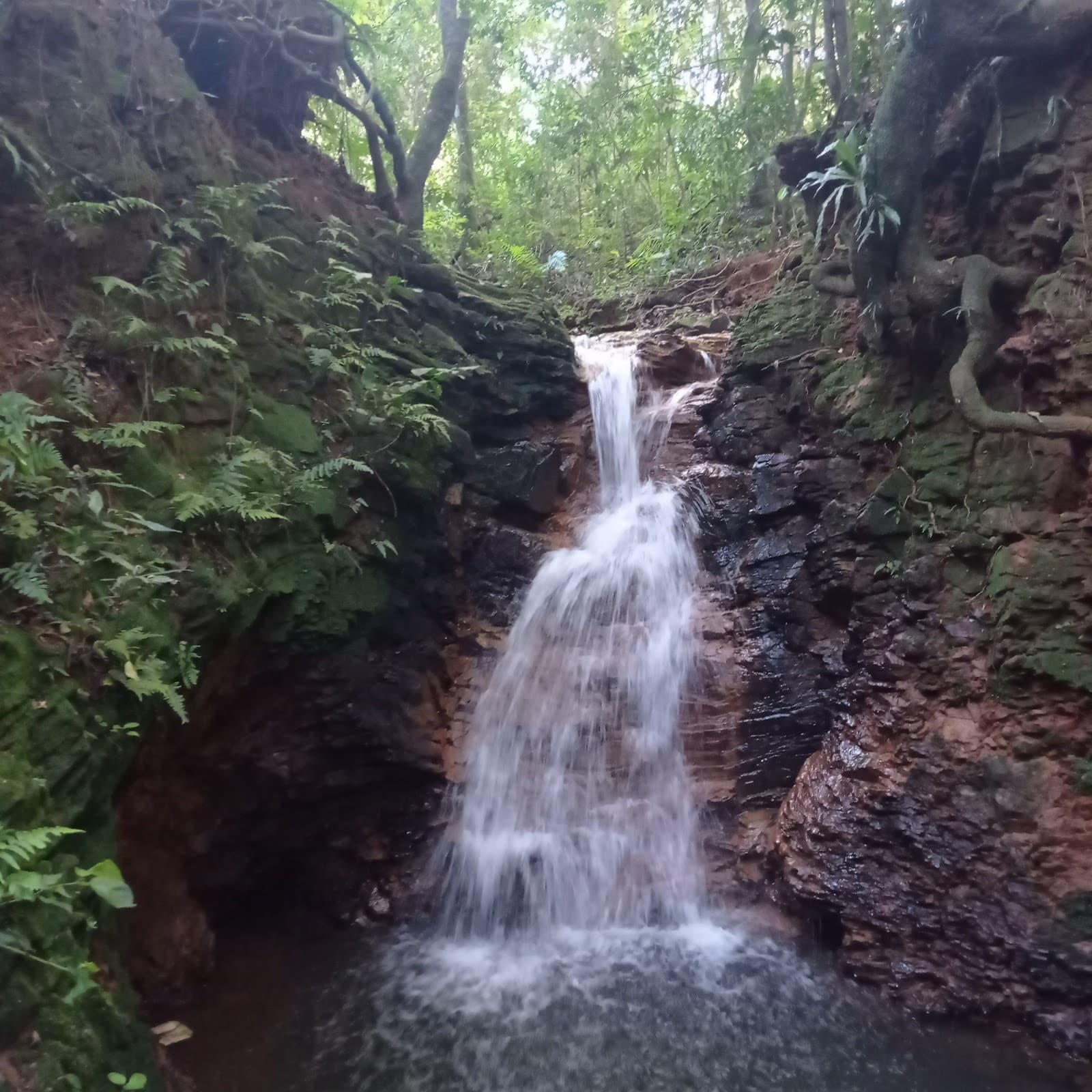 Poço Preto Trail - Image 1