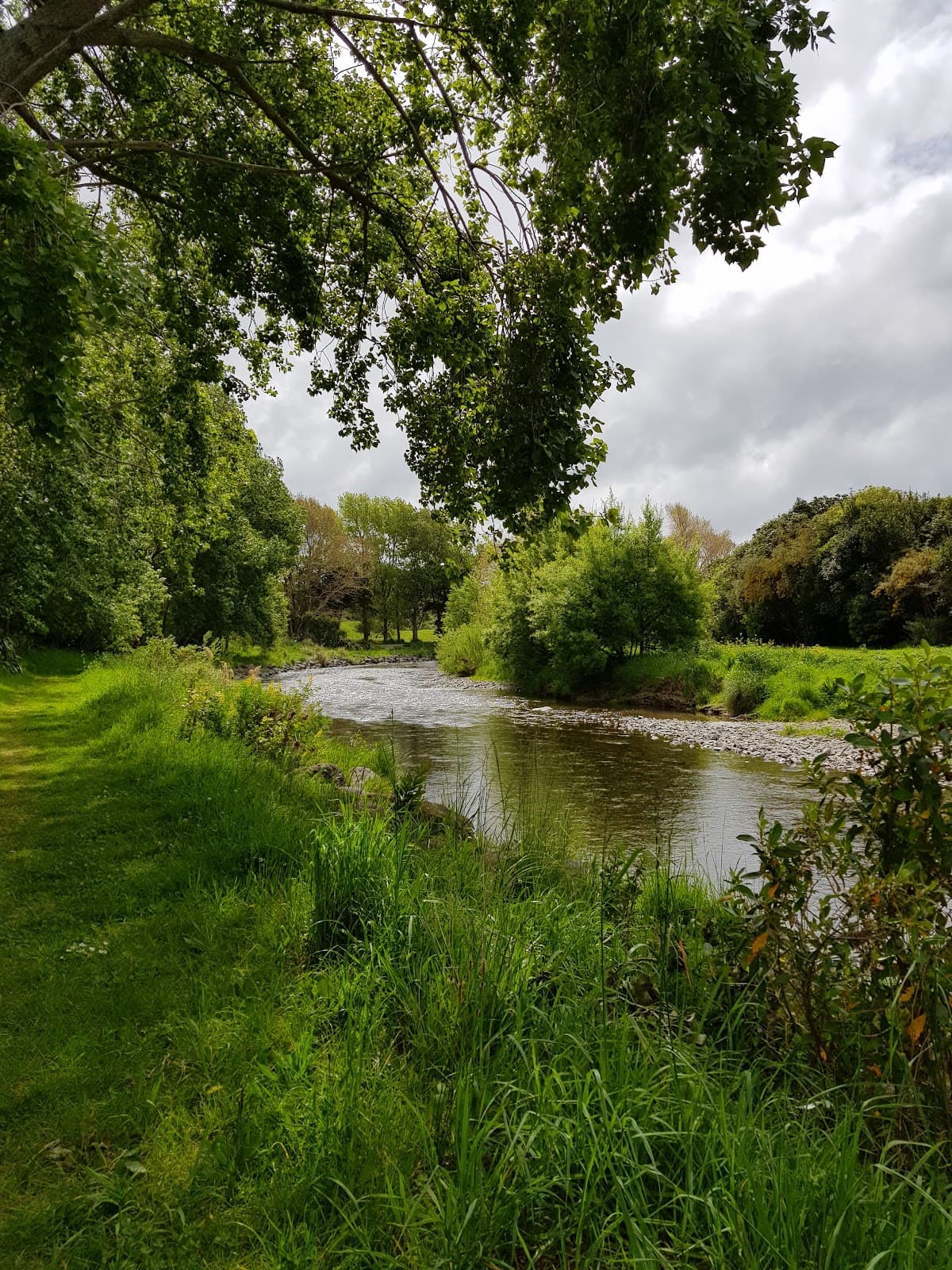 Otaraua Park - Image 1