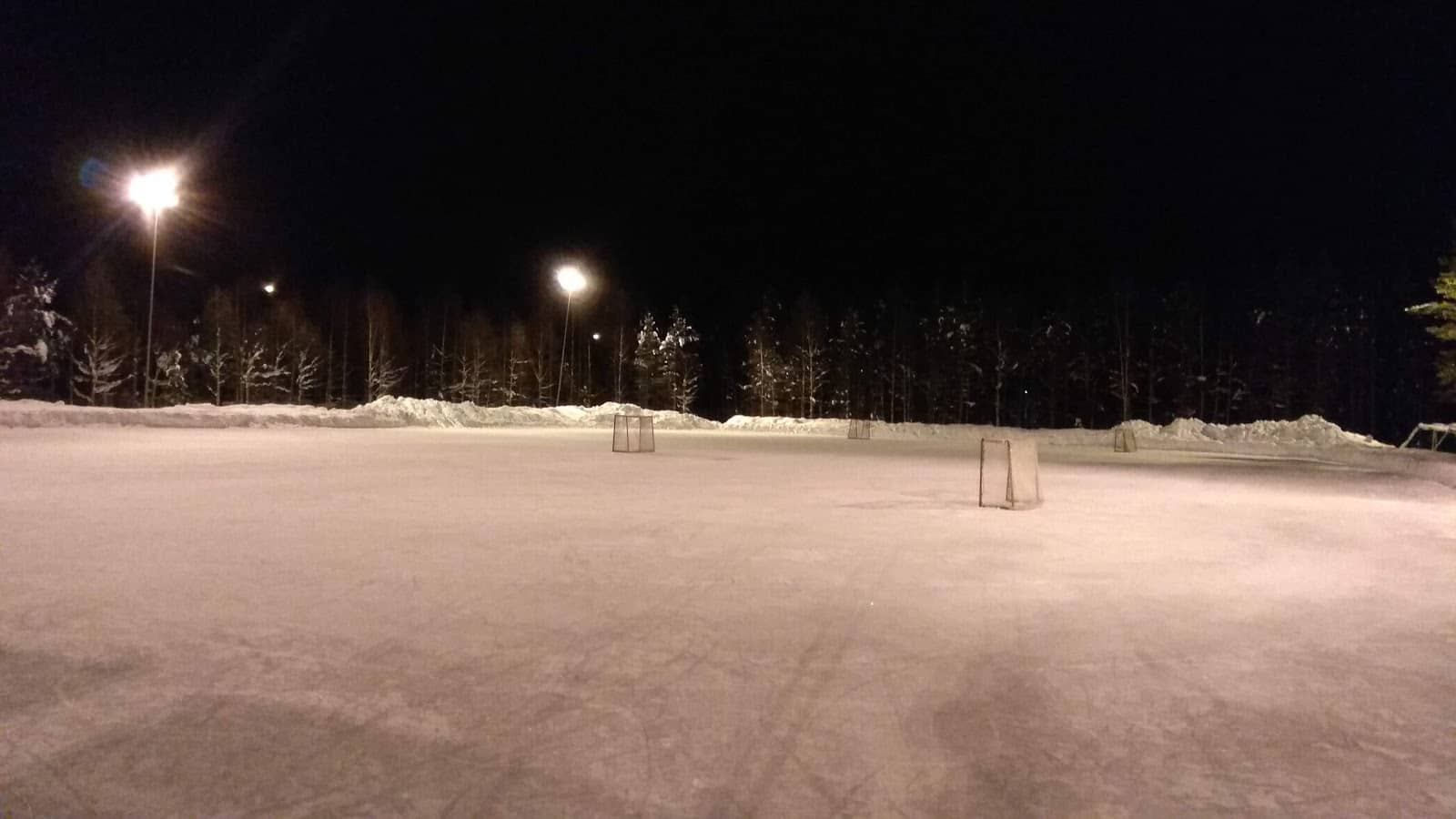 Moonlit Ice Skating