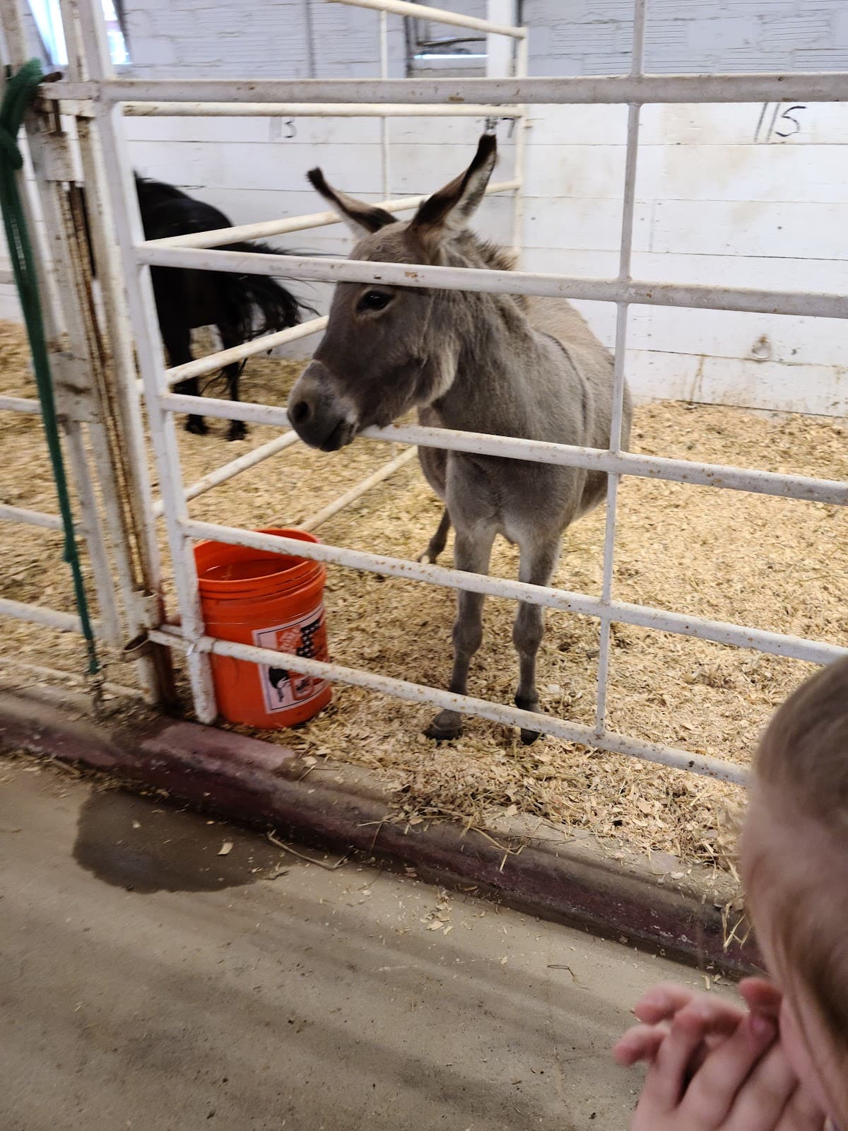 National Cattle Congress Fairgrounds - Image 1
