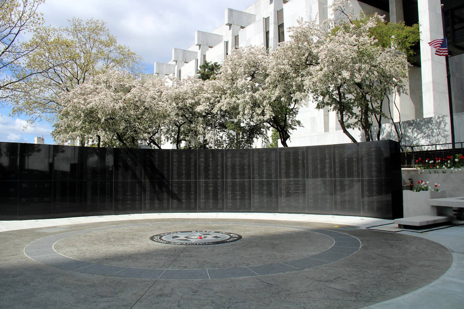 Peaceful Reflection Space