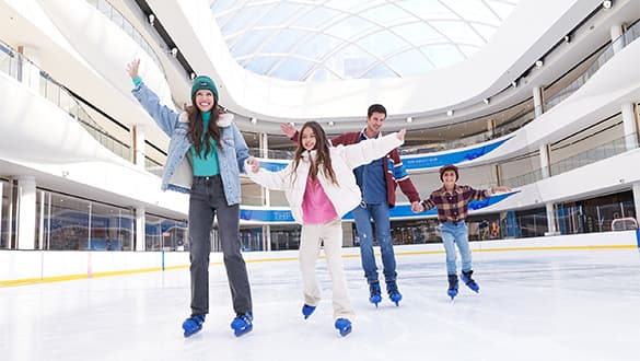 The Rink at American Dream - Image 1