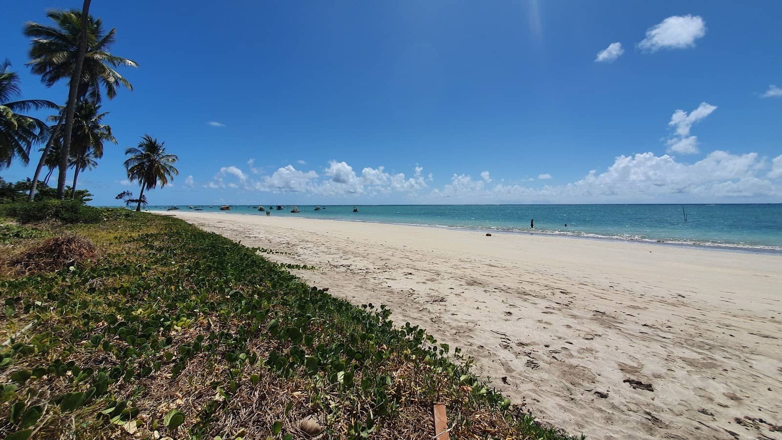 Praia do Patacho's Charm