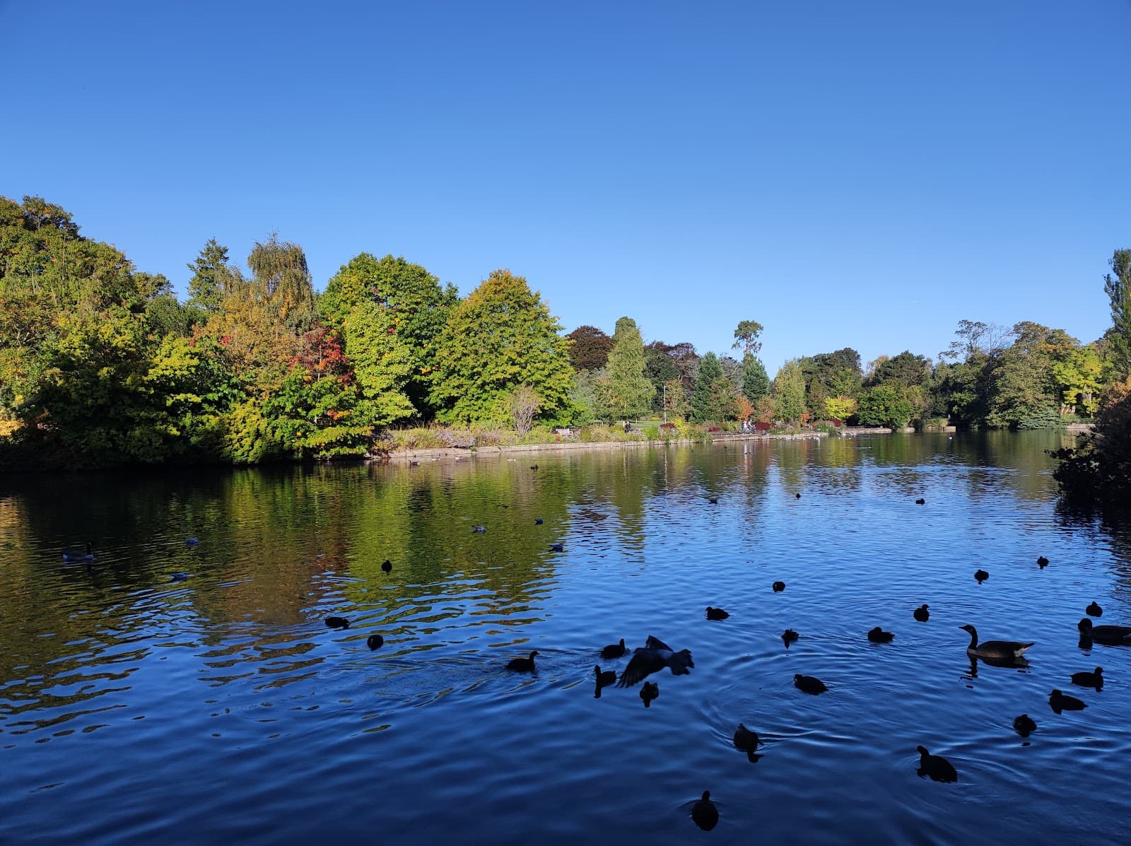 Kelsey Park - Image 1