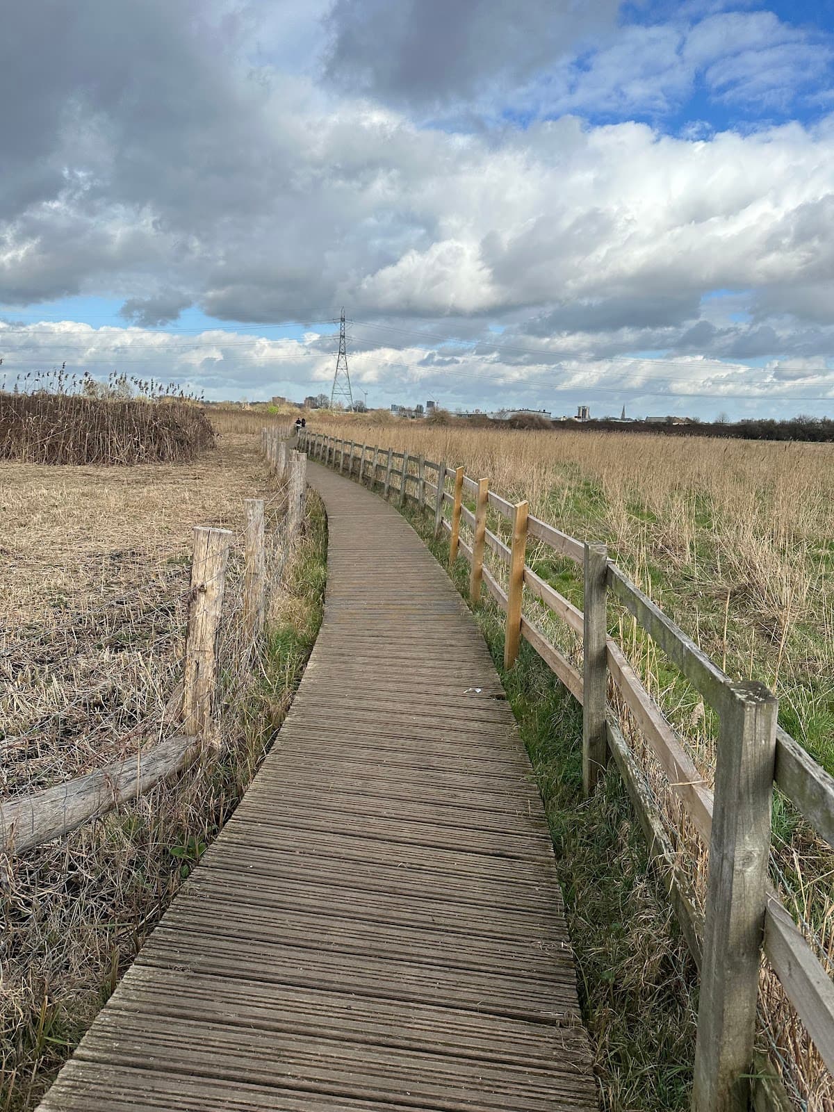 Leyton Marshes - Image 1
