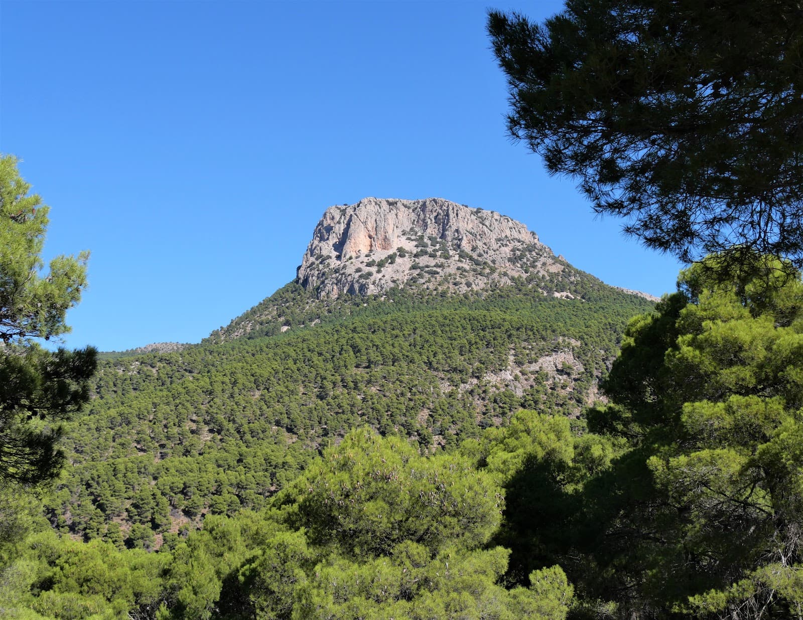 Sierra Espuña Regional Park - Image 1