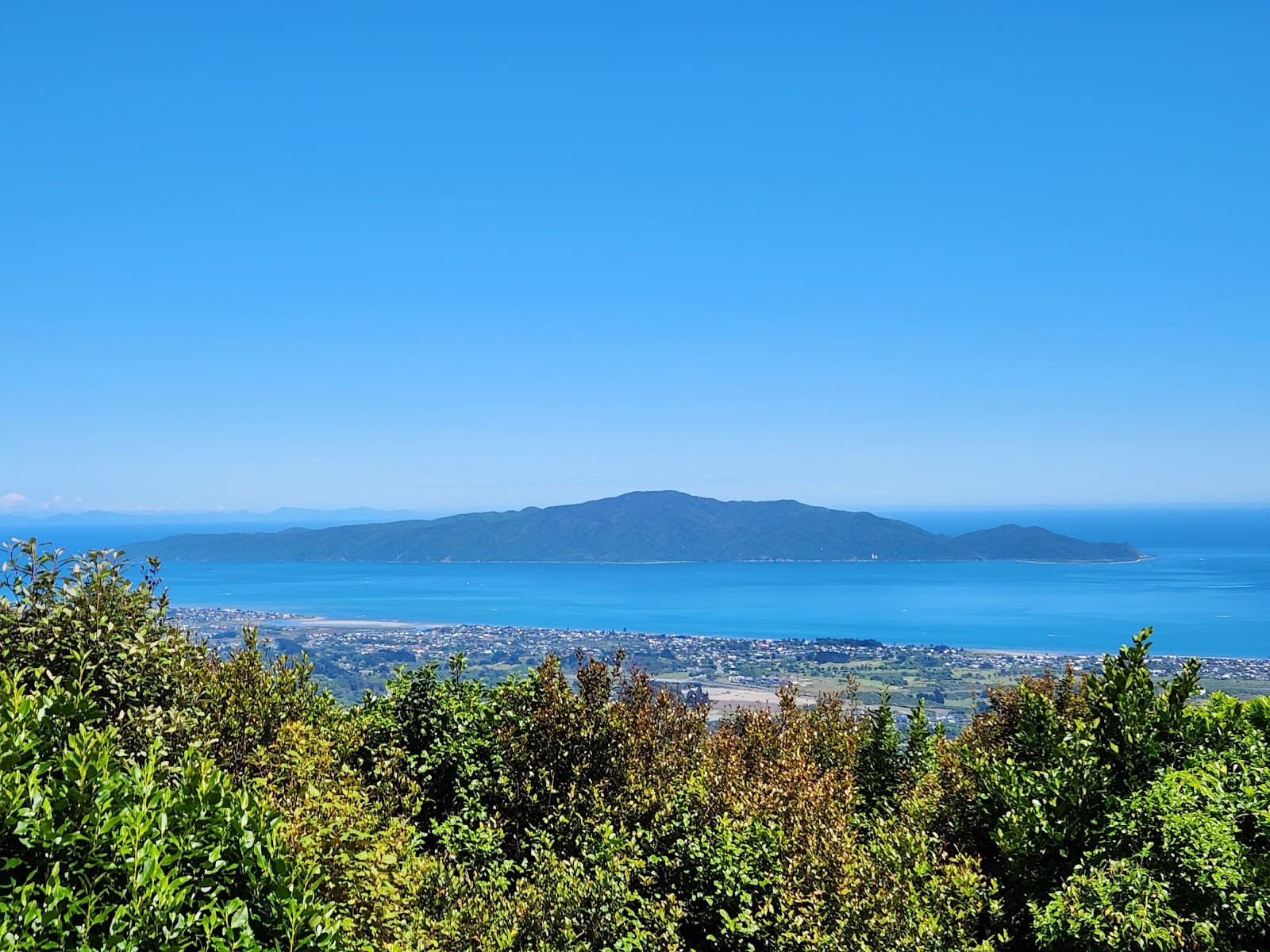 Hemi Matenga Scenic Reserve - Image 1