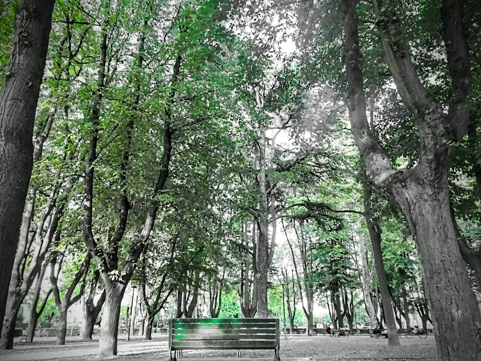Vertical photo
