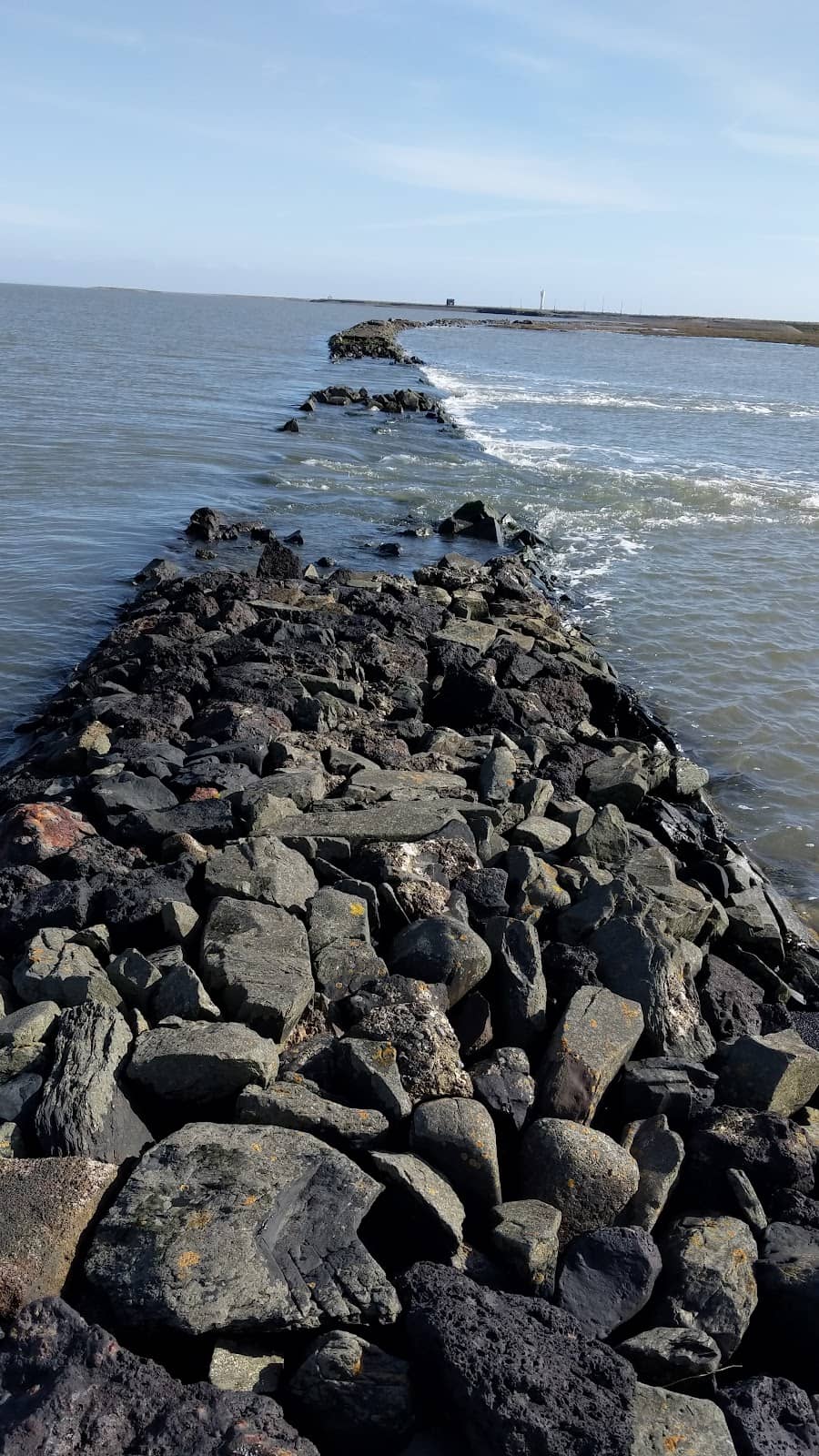 Vertical photo